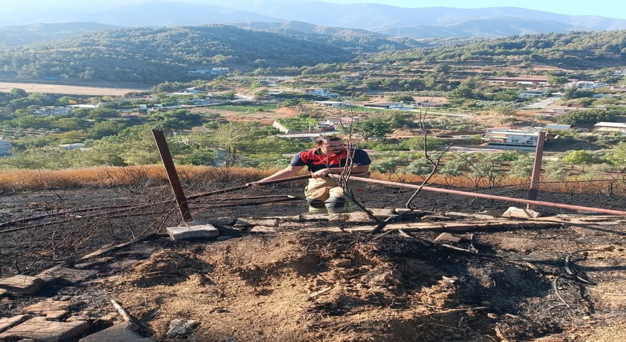Hatayda orman yangını büyümeden kontrol altına alındı