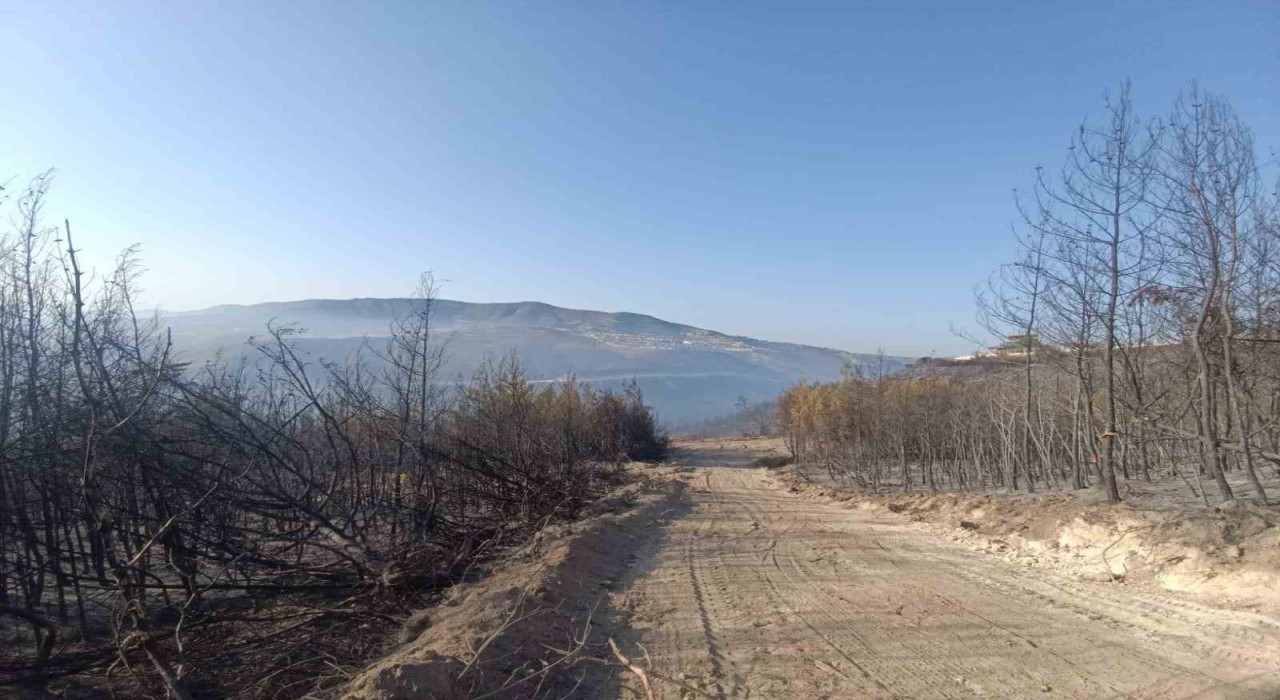 Hatayda orman yangını kontrol altına alındı