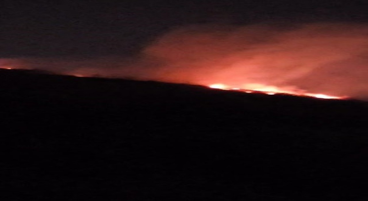 Hatayda ormanlık alanda çıkan yangın büyümeden söndürüldü