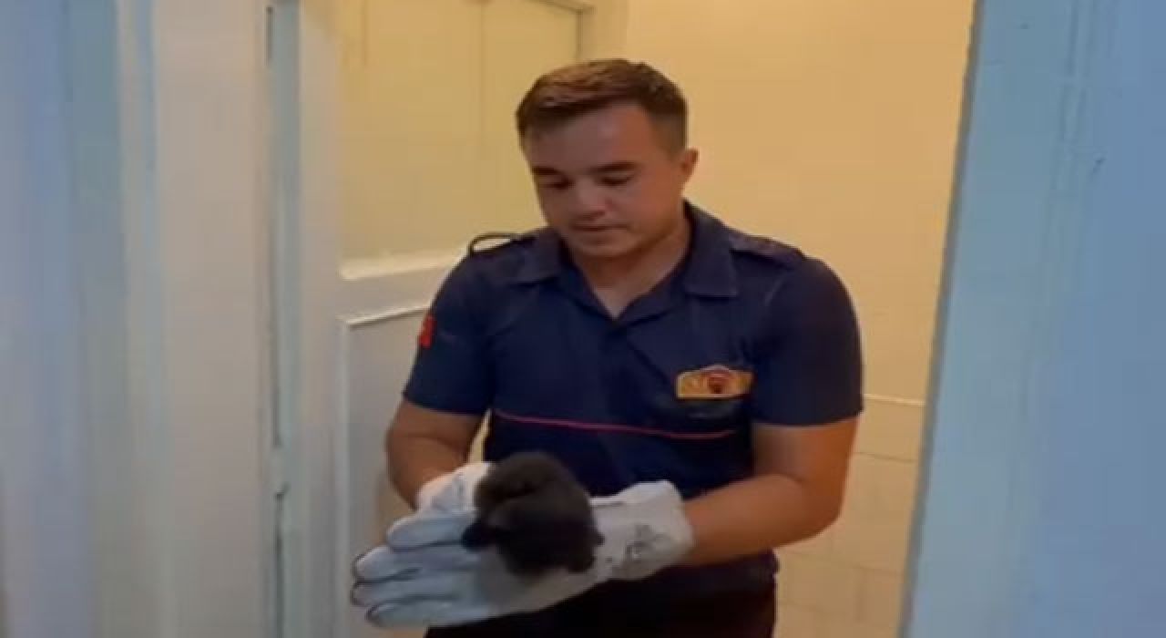 Havalandırma Boşluğuna Düşen Kedi İtfaiye Tarafından Kurtarıldı