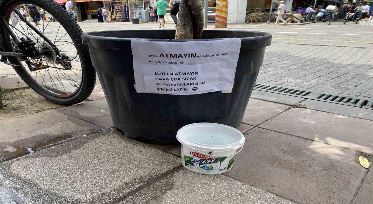 Hayvansever vatandaşın kibar uyarı yazısı görenleri gülümsetti