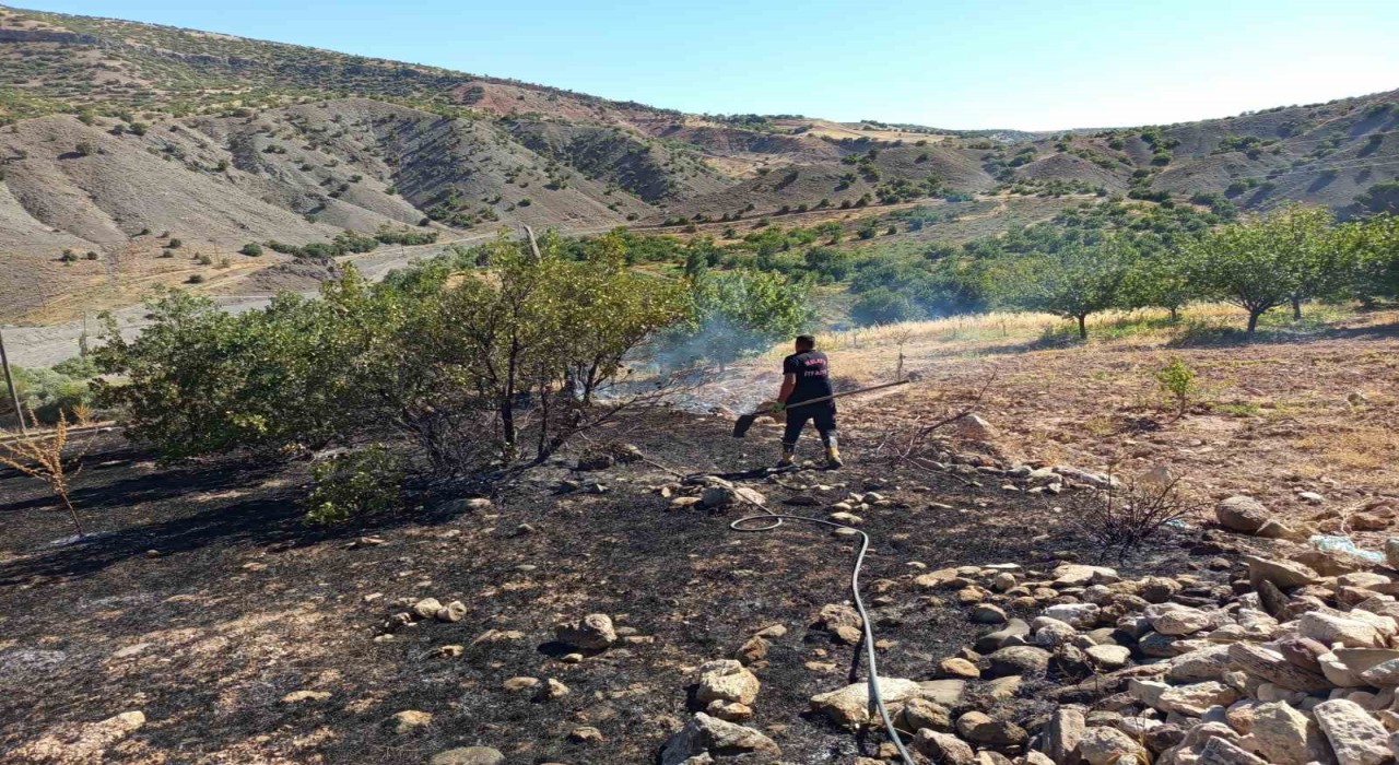 Hekimhanda ormanlık alanda çıkan yangın söndürüldü