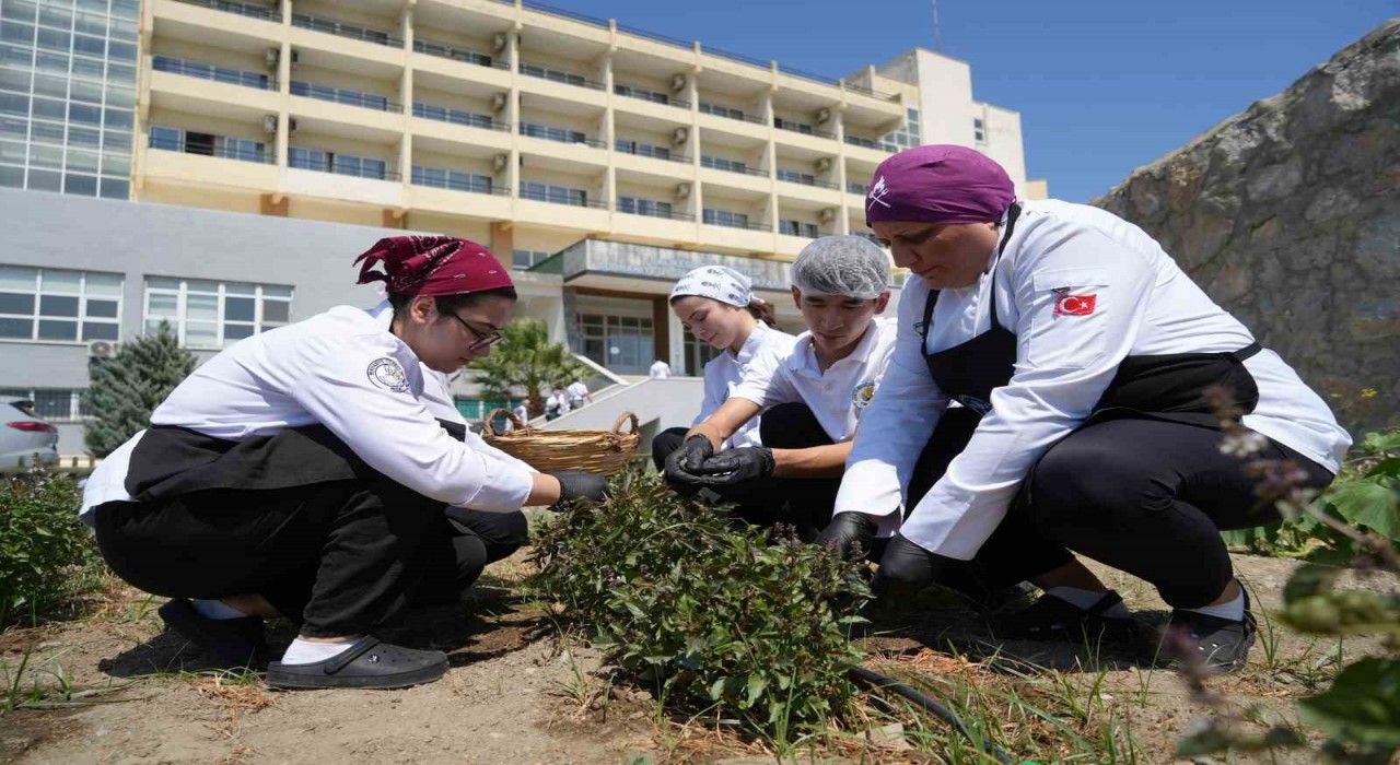 Hem serinletici, hem de sağlıklı