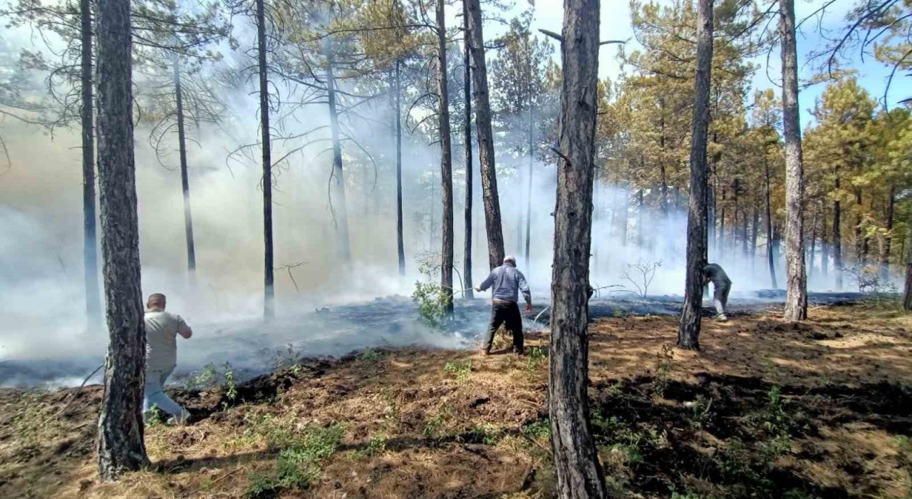 Honazda orman yangını