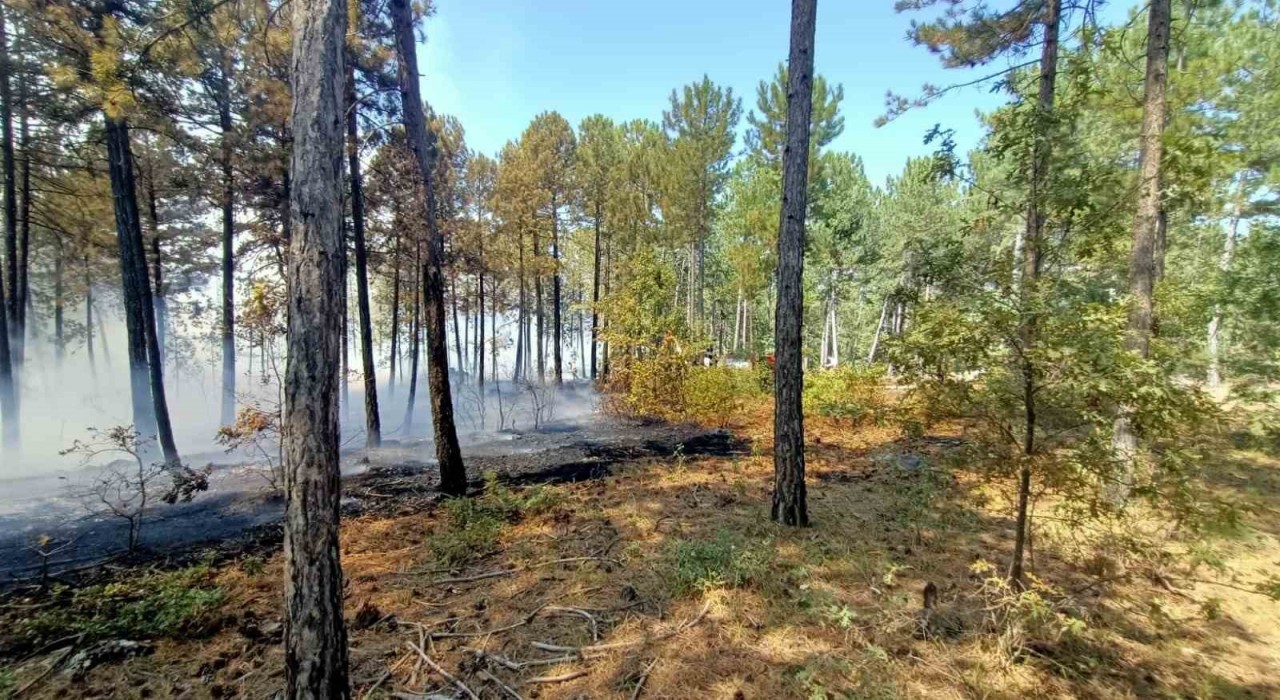 Honazdaki orman yangınına karadan ve havadan müdahale ediliyor