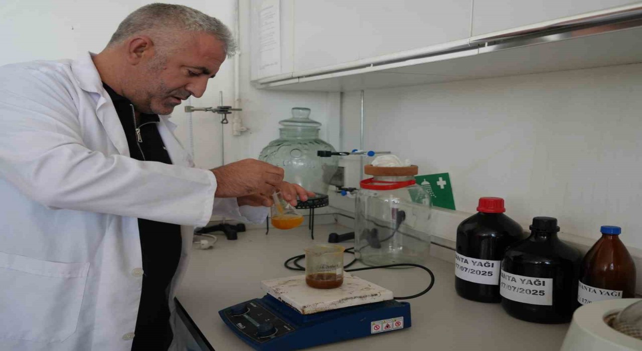 Iğdır Üniversitesinde üretildi: Cilt kanserine neden olan lekelerde bile etkili