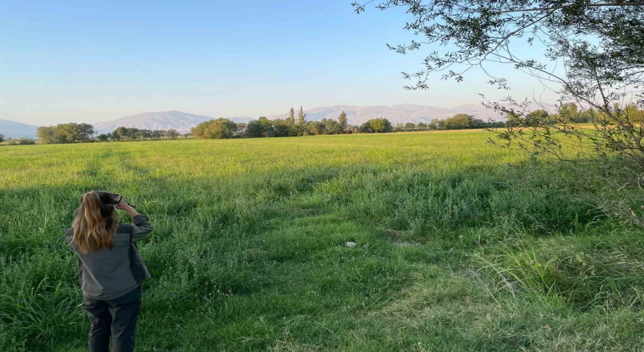 Iğdırda 2025-2026 av döneminde denetimler sıkılaştırıldı