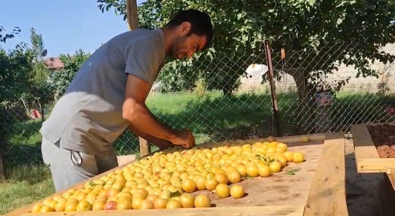 Iğdırda güneşte kurutulan meyveler pazarda satılıyor