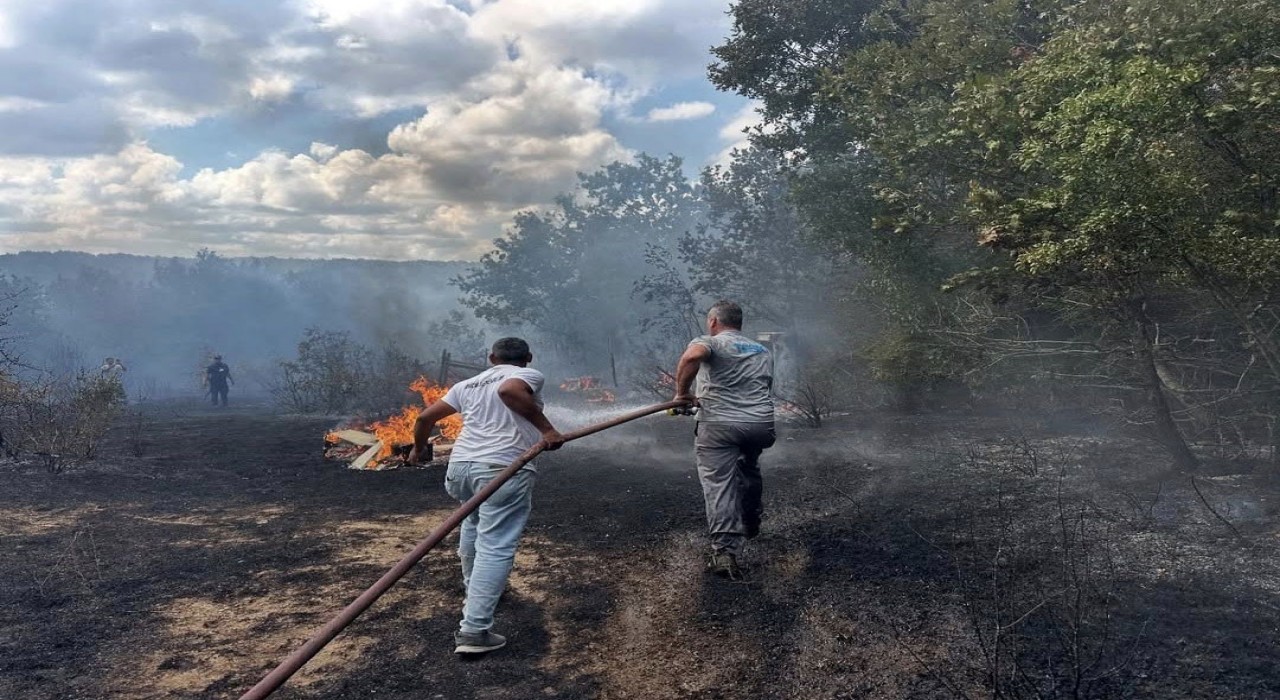 İğneadada çıkan orman yangını söndürüldü