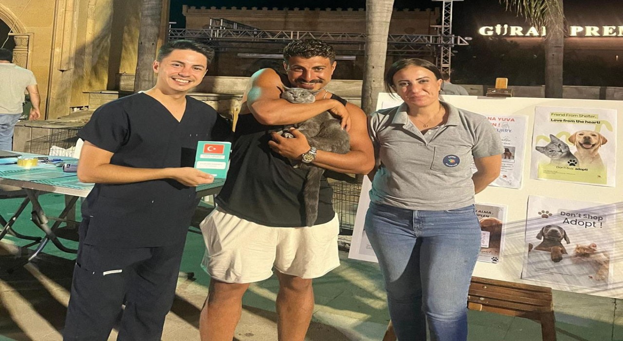 İki konserde 15 evcil hayvan sahiplendirildi