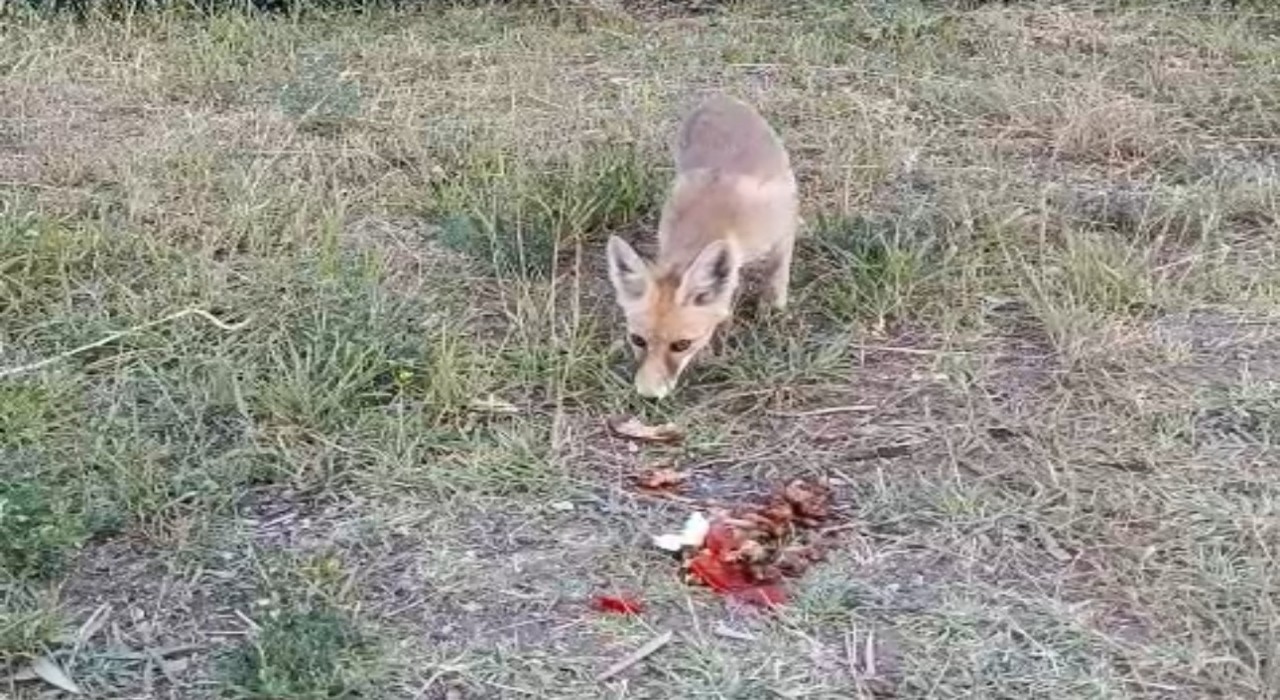 İlhan öğretmenden anlamlı davranış