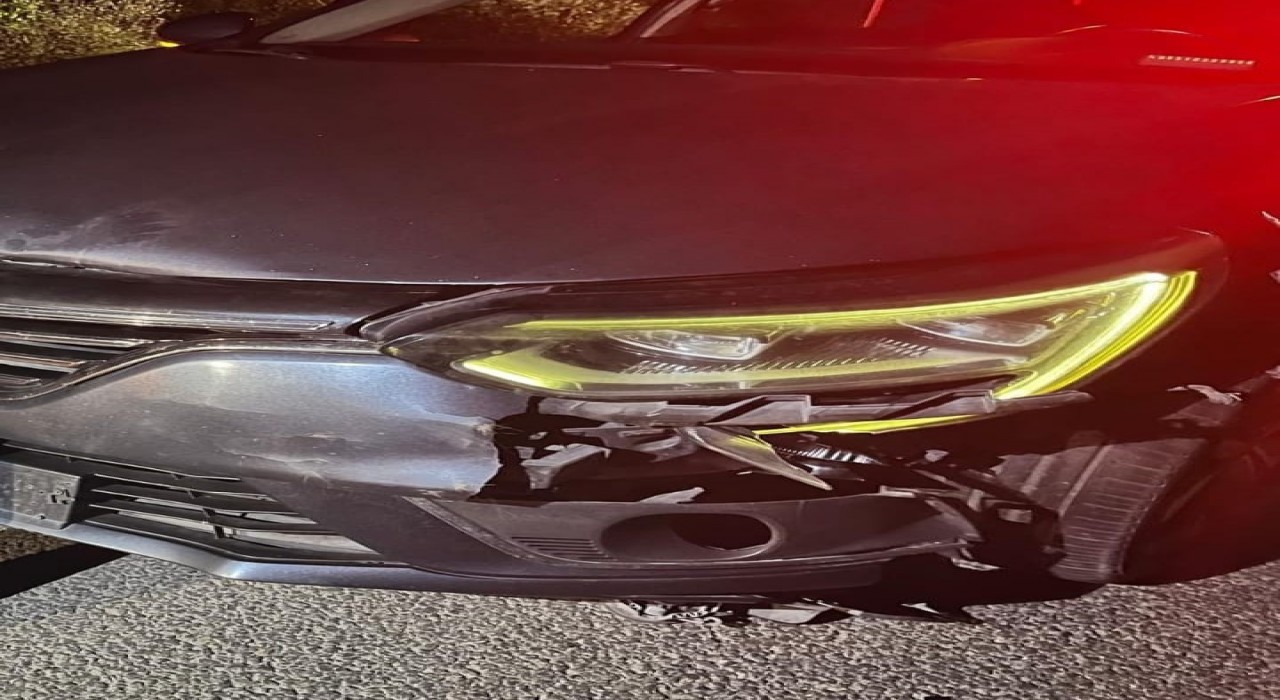 İnegölde otomobilin çarptığı ayı telef oldu