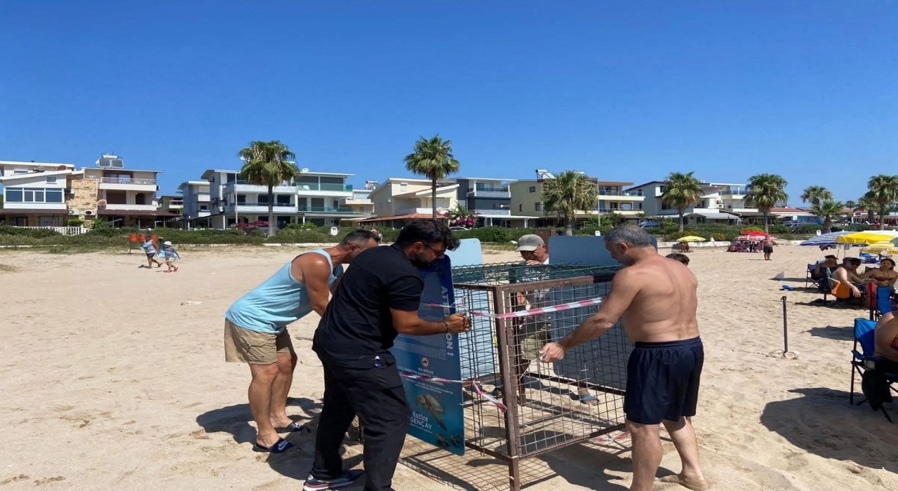 Işık kirliliği yönlerini şaşırttı, gönüllüler kurtardı