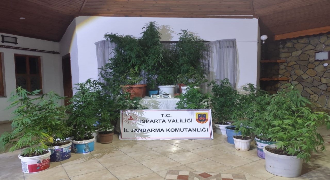 Ispartada uyuşturucu operasyonu