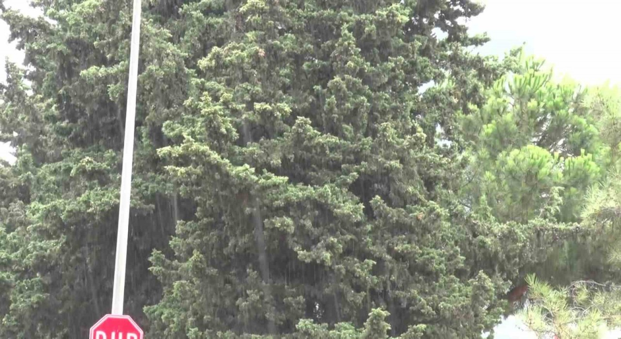 İstanbulda beklenen yağmur başladı