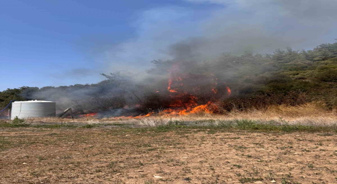 İzmir Mendereste orman yangını