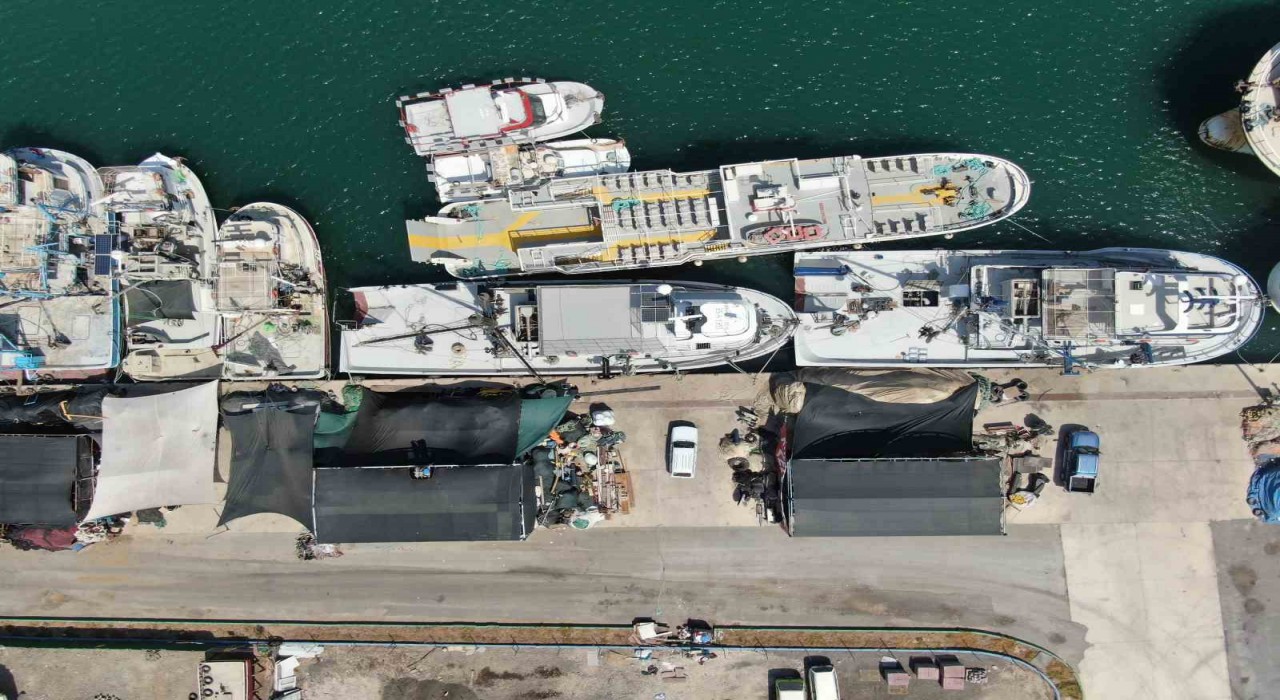 İzmirde deniz kirliliği balığı vurdu: Sardalyasız sezon kapıda