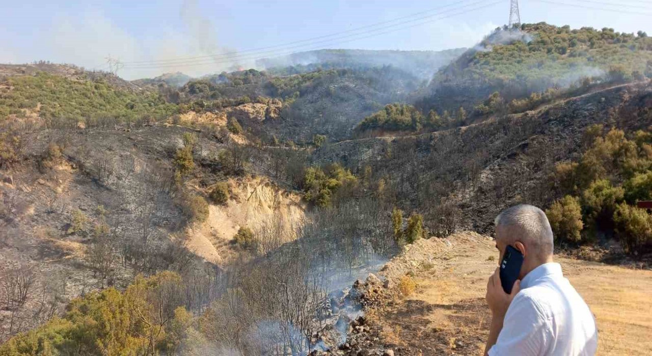 İzmirdeki yangınlar kontrol altına alındı