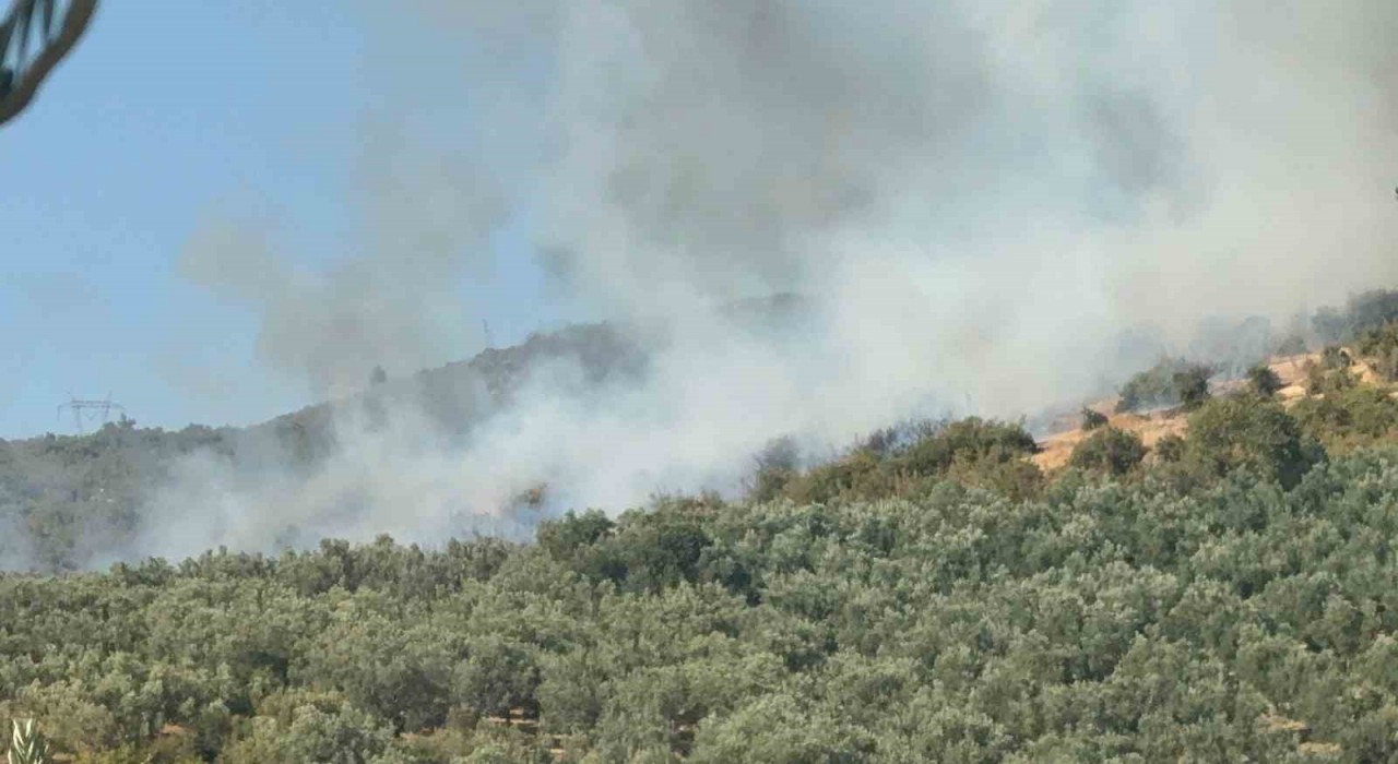 İznikte orman yangını