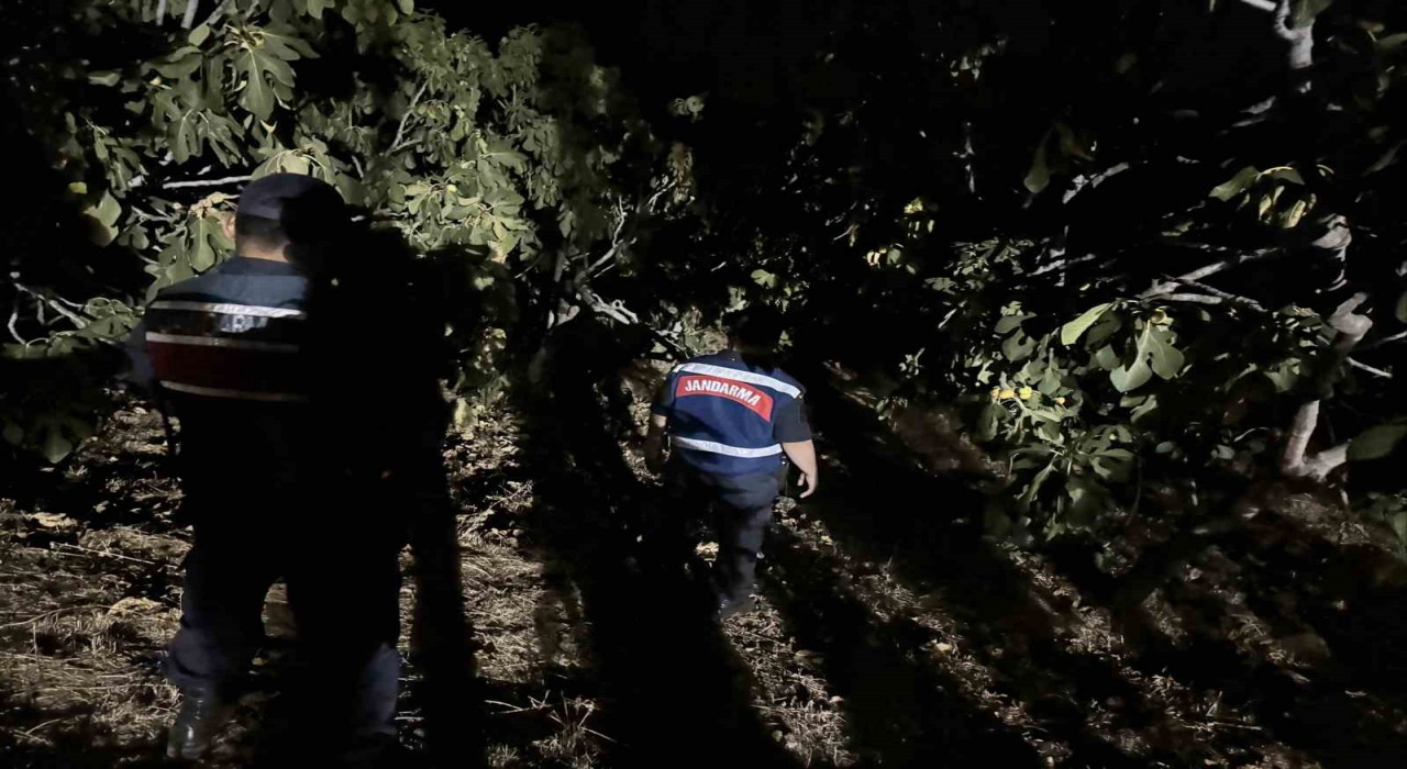 Jandarma, incir hırsızlarına geçit vermiyor