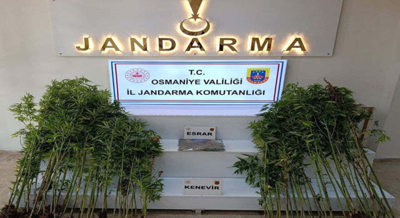Jandarmadan Ağustos Ayı Operasyonlarında 121 Şüpheli Yakalandı