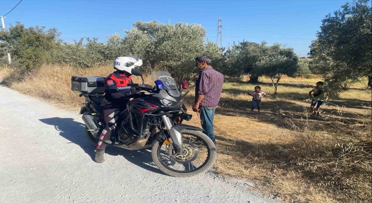 Jandarmadan ‘incir hırsızı devriyesi