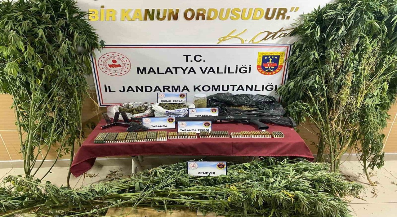 jandarmadan uyuşturucu operasyonu: 1 gözaltı
