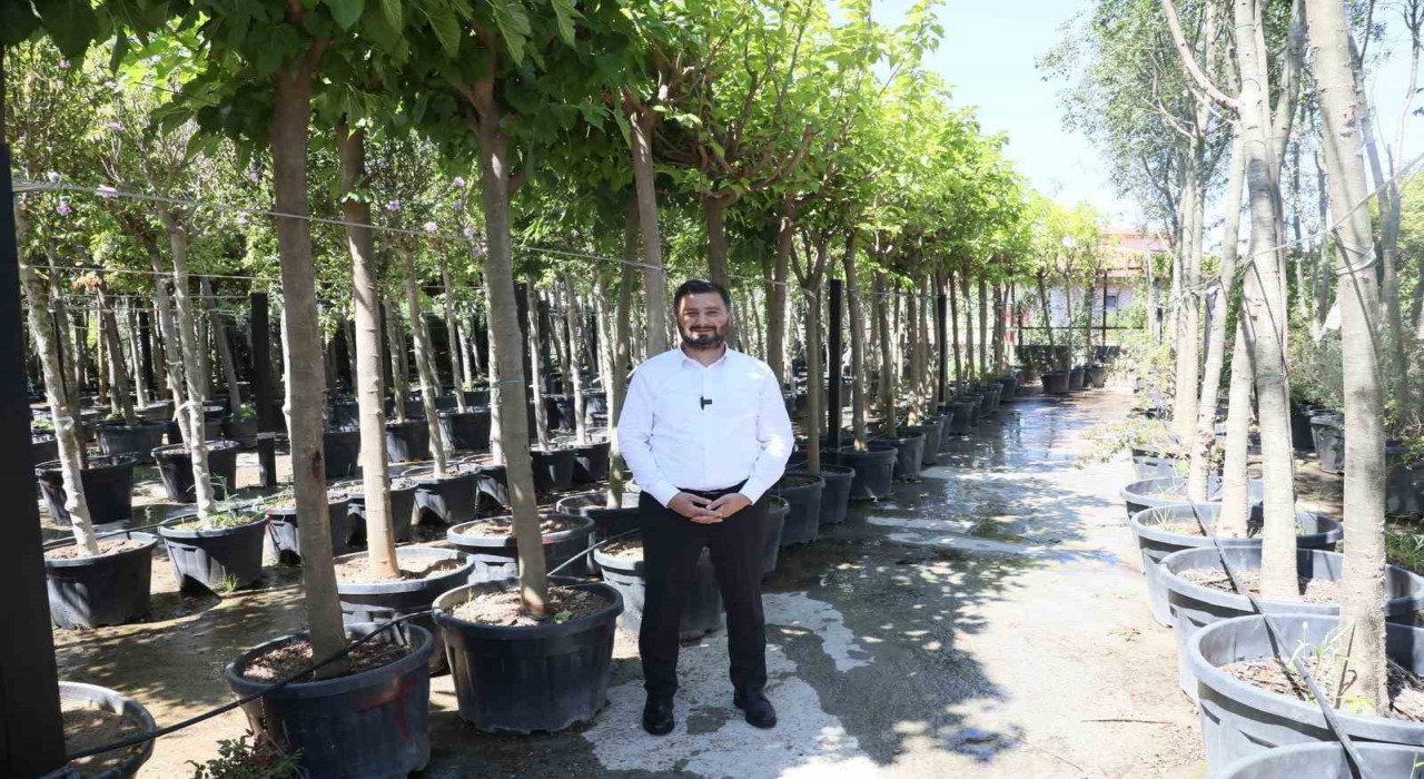 Kağıthaneye 50 bin ağaç ve 1 milyon metrekare yeşil alan kazandırıldı