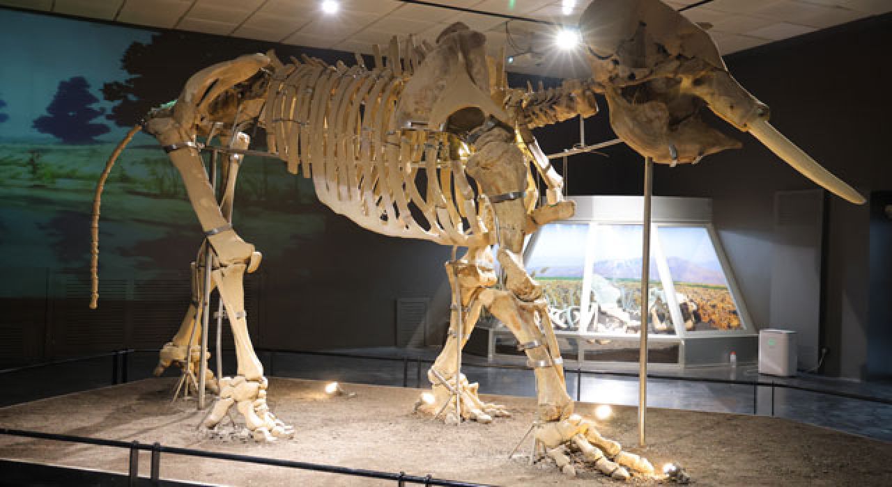 Kahramanmaraş Arkeoloji Müzesi Deprem Sonrası Yeniden Ziyarete Açıldı