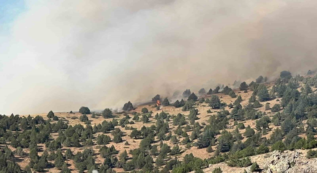 Kahramanmaraştaki orman yangını ekiplerin müdahalesi sürüyor