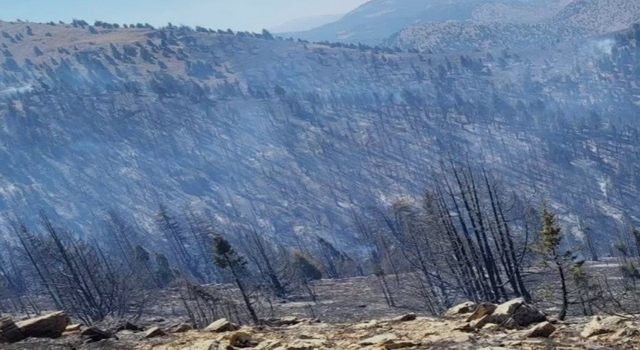 Kahramanmaraştaki orman yangını sürüyor