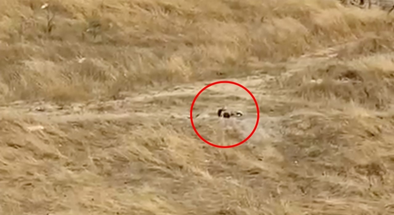 Kapaklıda güpegündüz boş alanda uygunsuz görüntülere tepki