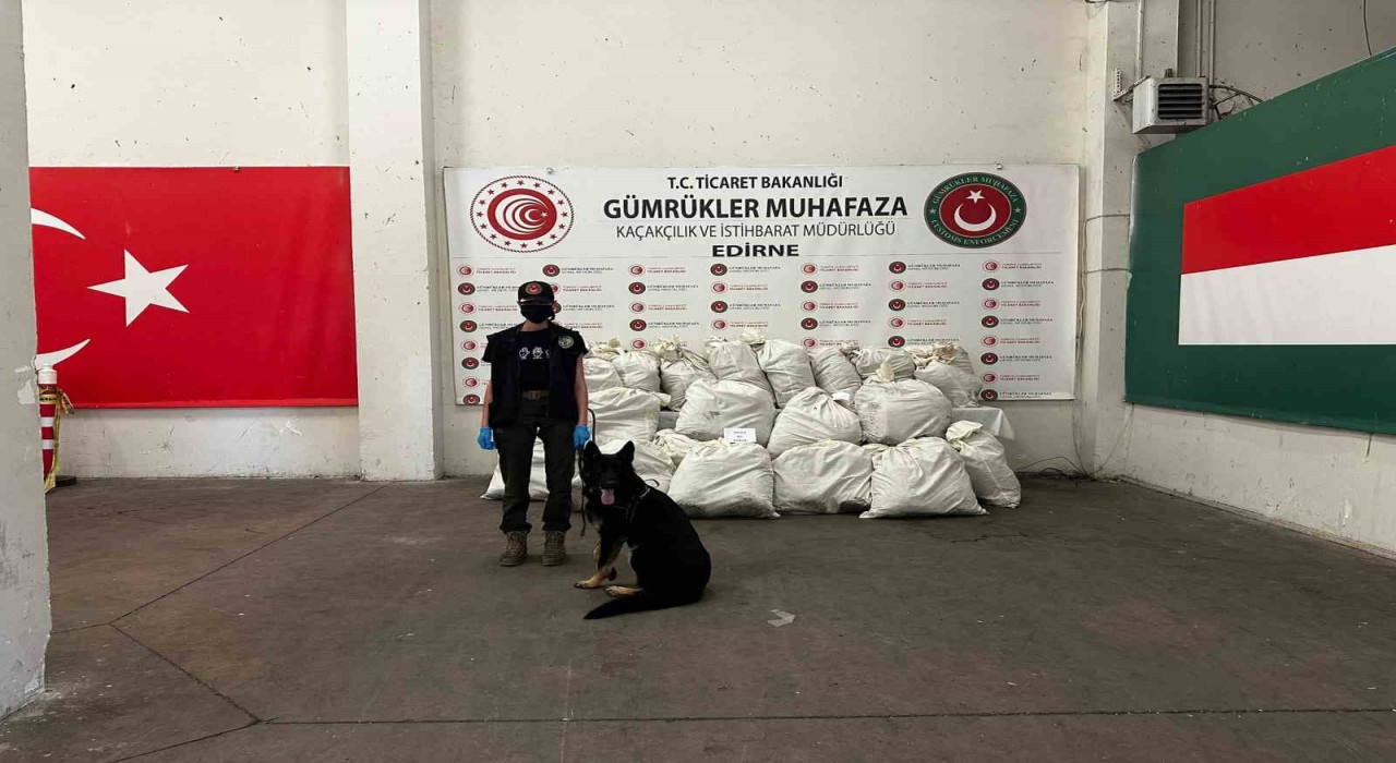 Kapıkulede 245 kilo esrar ele geçirildi: 2 gözaltı