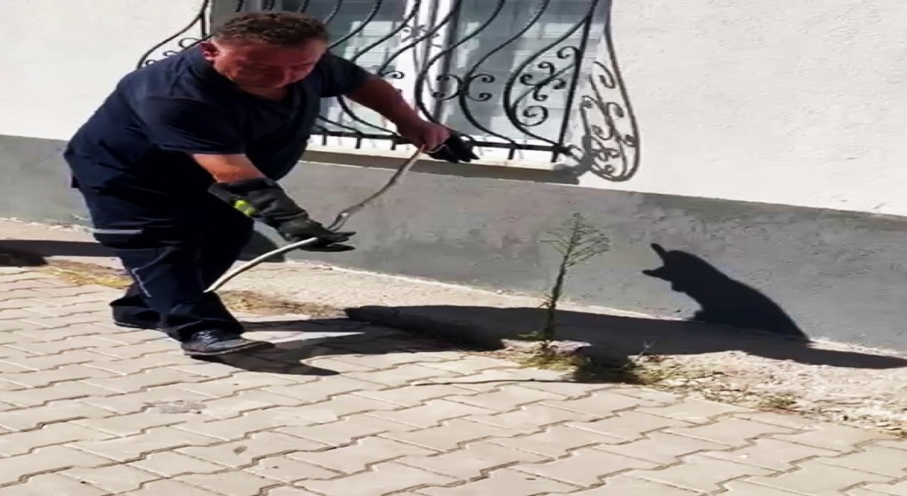 Karabükte doğalgaz kutusuna giren yılan yakalandı