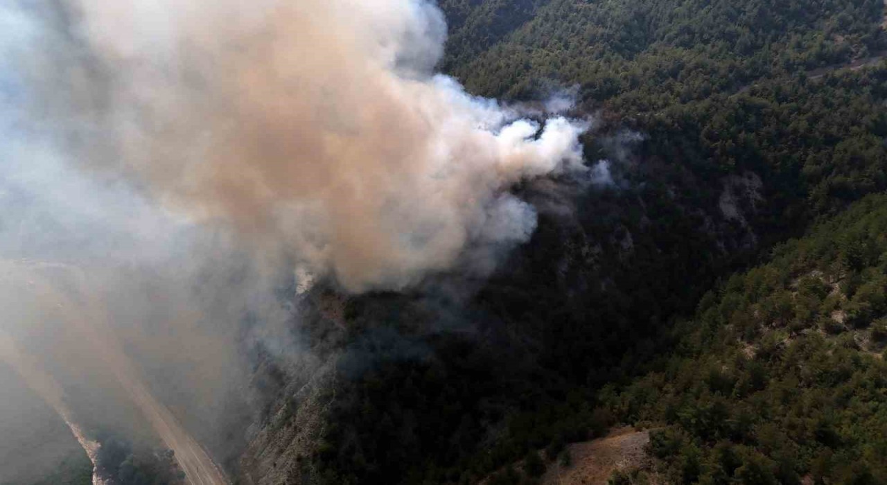Karabükte orman yangını çıktı