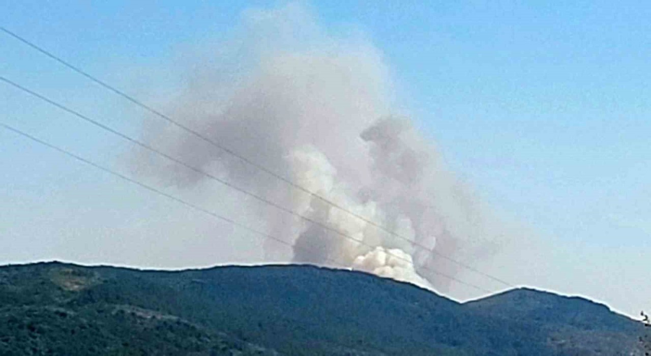 Karabükte orman yangını çıktı
