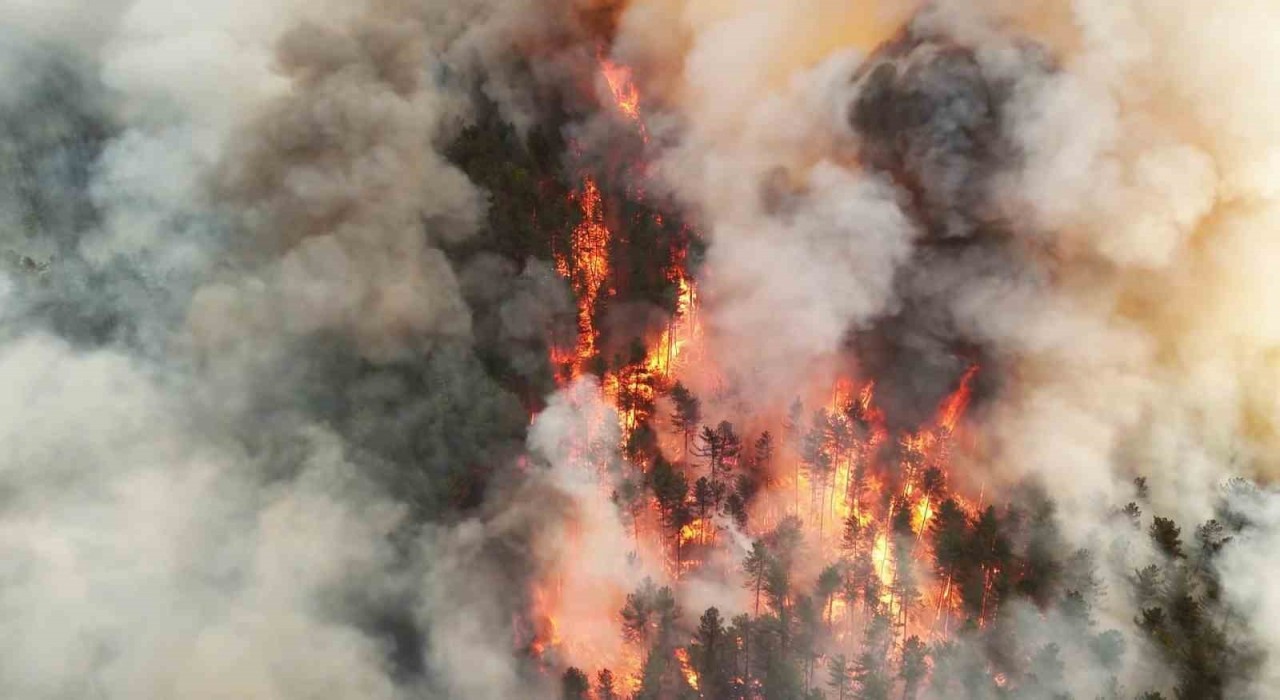 Karabükte orman yangını nedeniyle bir mahalle boşaltıldı