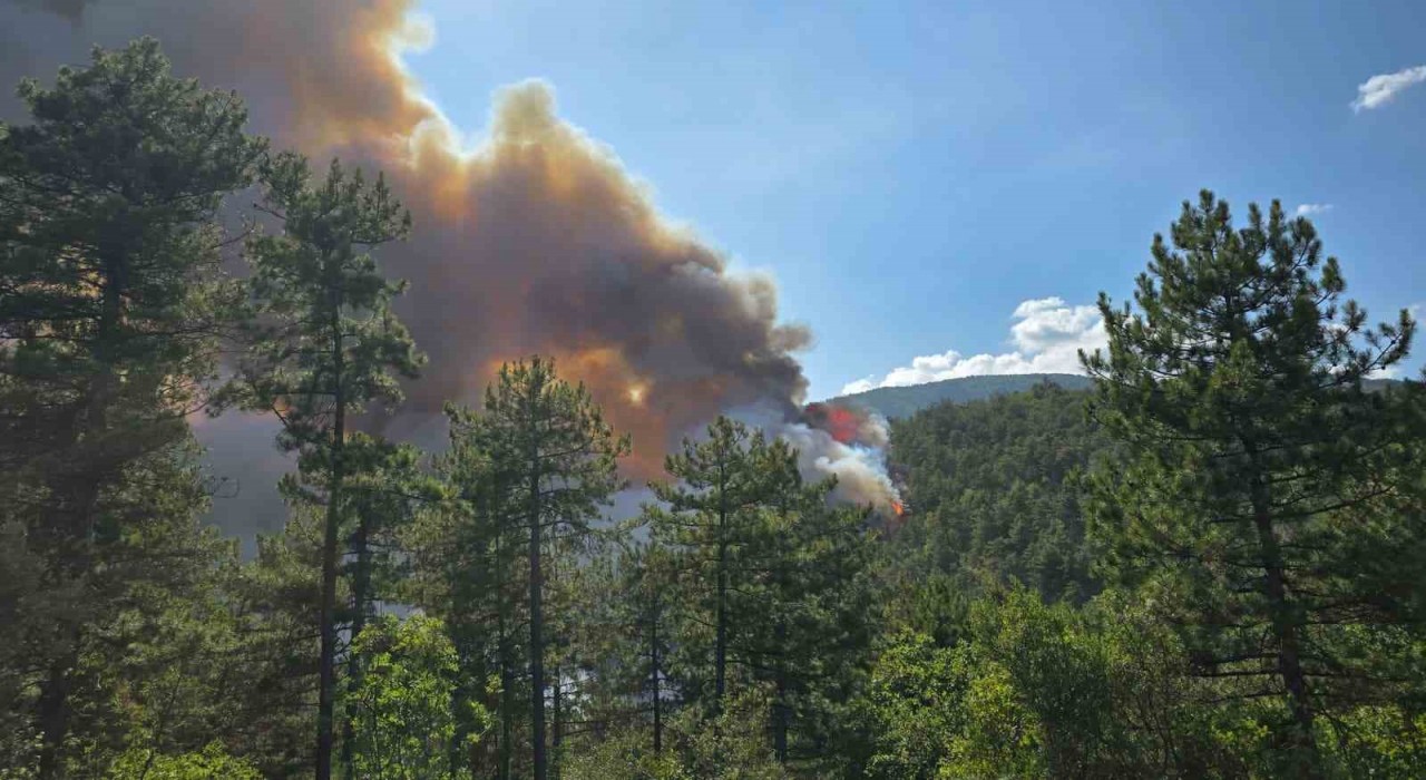 Karabükte orman yangını rüzgarın etkisiyle büyüyor