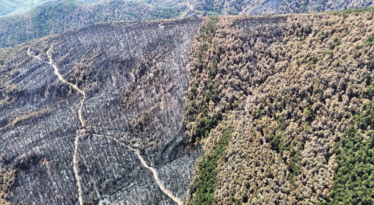 Karabükte yangın sonrası ormanlar hazan rengine büründü