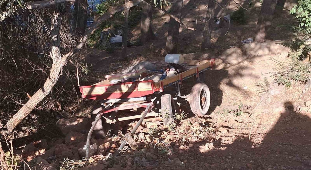 Karamanda at arabası şarampole yuvarlandı: 4 yaralı