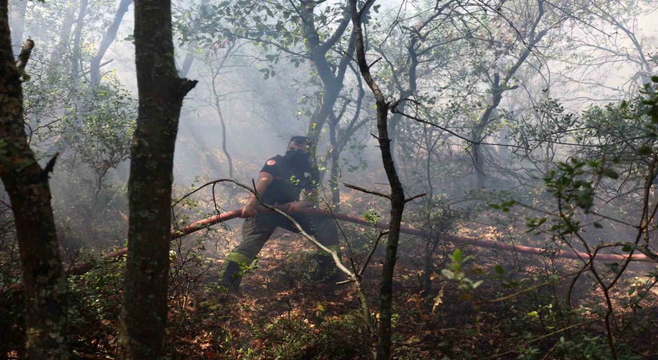 Karamürsel yangını için seferberlik ilan edildi