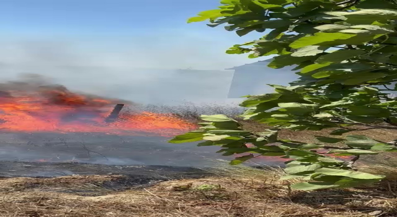 Karmürselden sonra Kandırada da yangın başladı