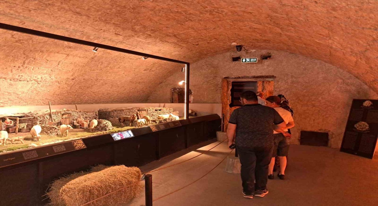 Karsın cazibe merkezi: Peynir müzesi