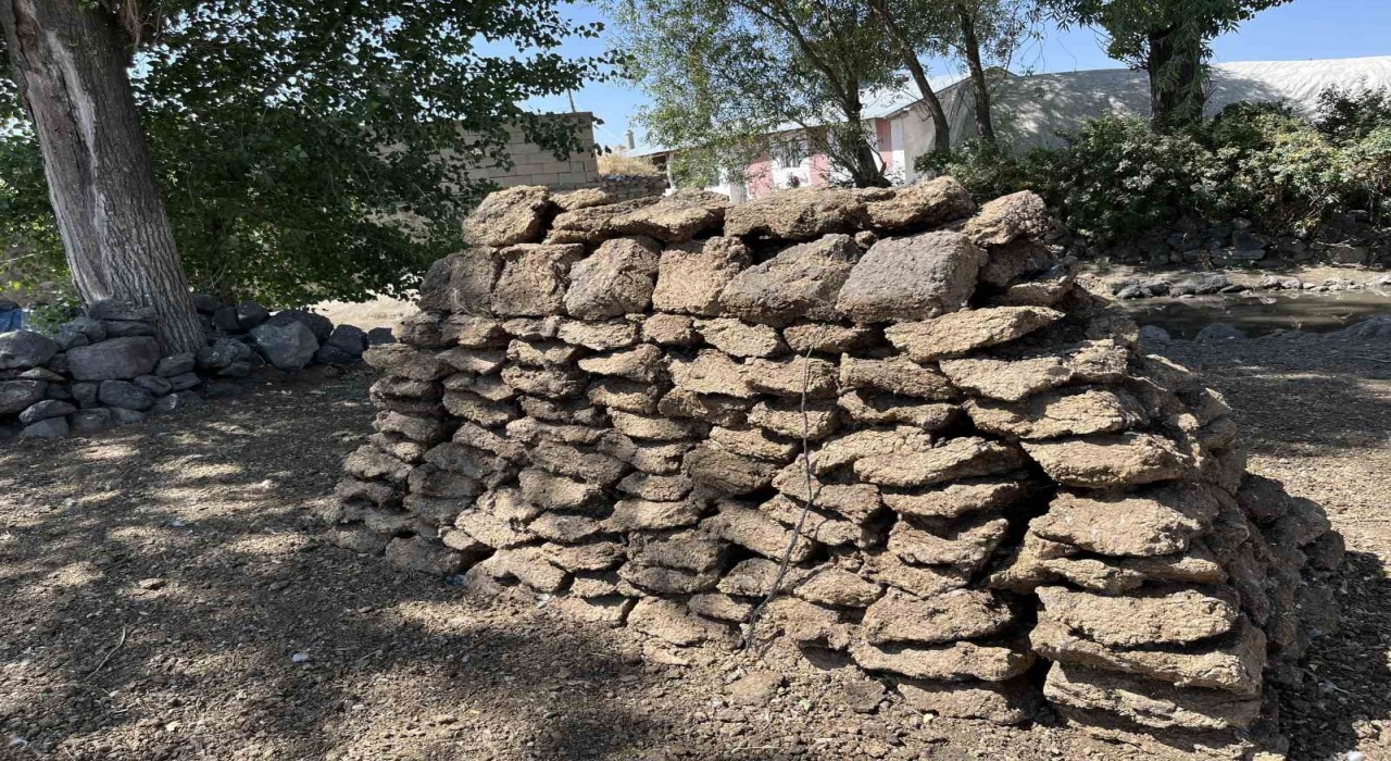 Karsta köylülerin kışlık tezek mesaisi başladı