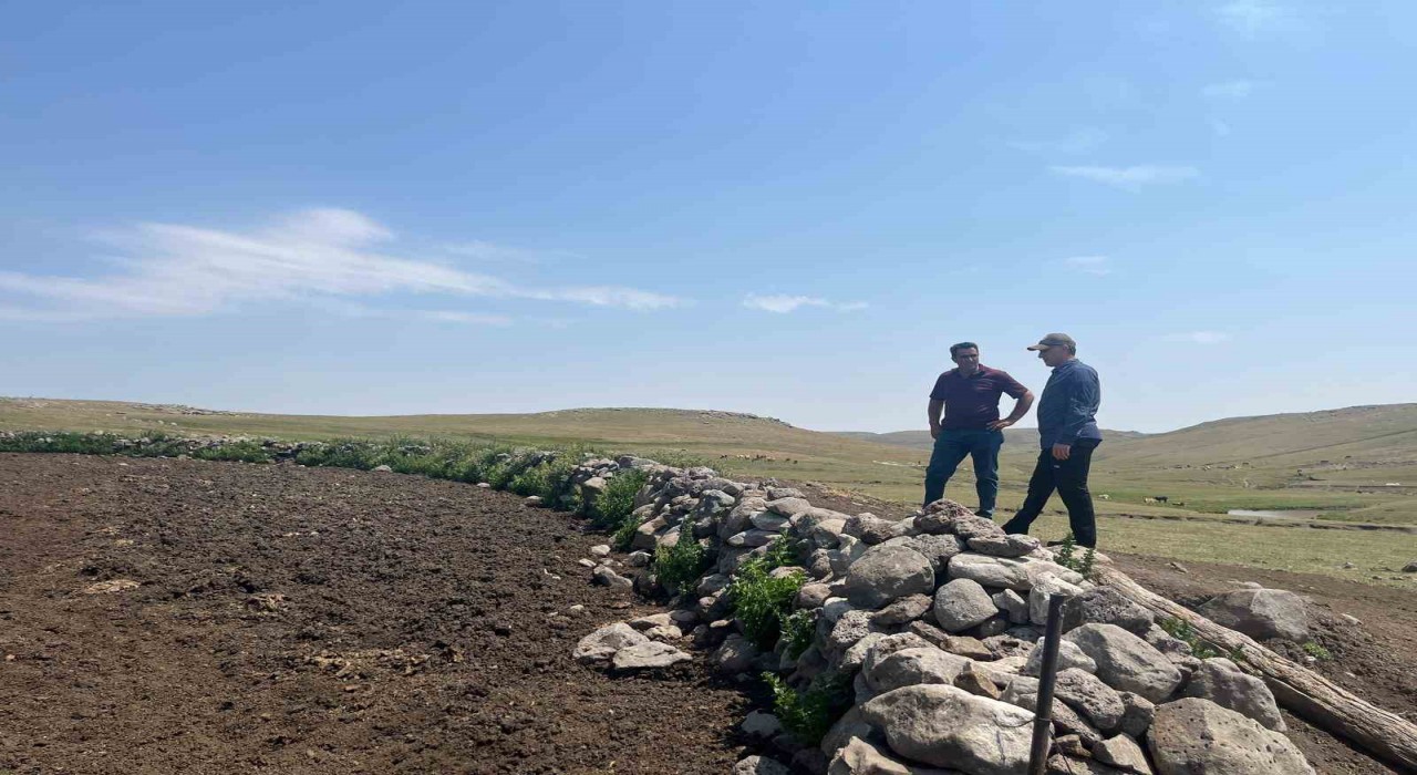 Karsta şap hastalığıyla mücadele sürüyor