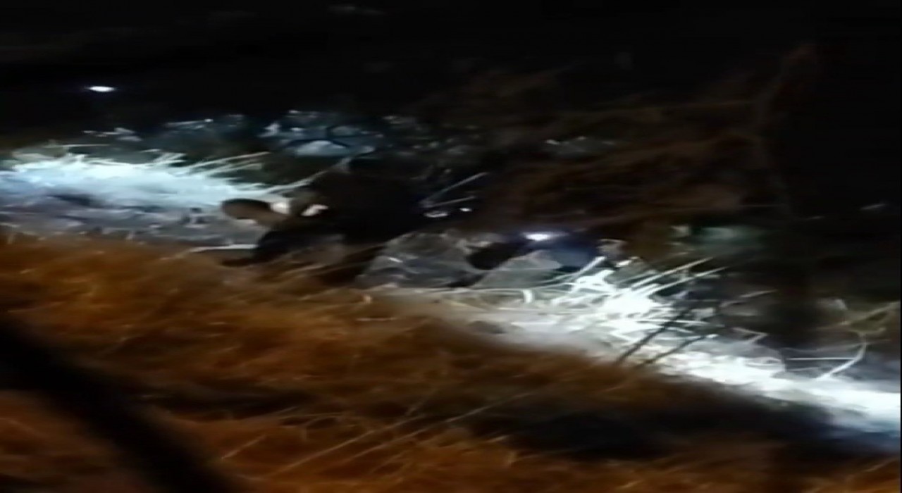 Kartalda otluk alanda ateş yakan şahıslara tutuklama talebi