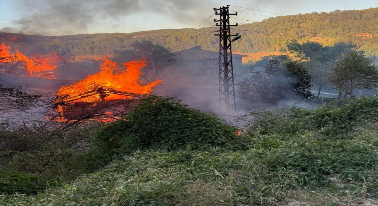Kastamonuda alevlere telim olan iki samanlık yandı