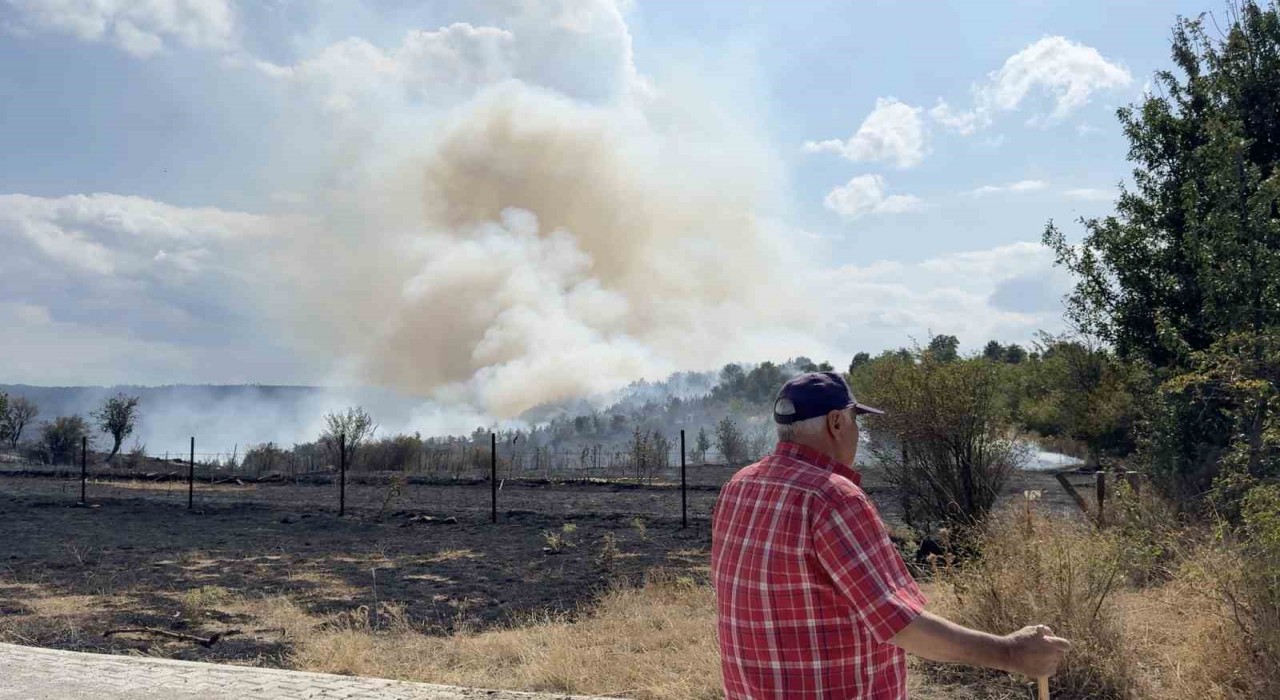 Kastamonuda orman yangını
