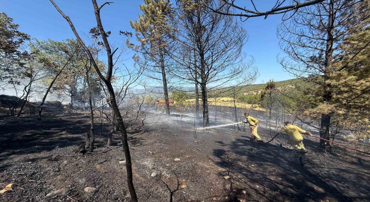 Kastamonuda ormanlık alanda çıkan yangında samanlık, kümes ve baraka kullanılamaz hale geldi