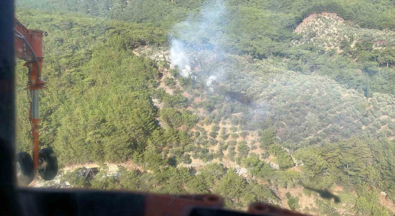 Kazdağları Milli Parkında çıkan yangın kısa sürede söndürüldü